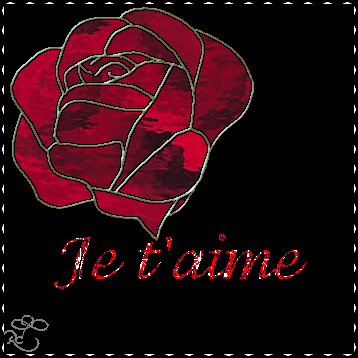 je t aume moi aussi